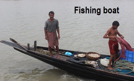 The fish communities in Sundarban