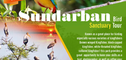 Sundarban Bird Sanctuary Tour skysketchindiaholidays1080