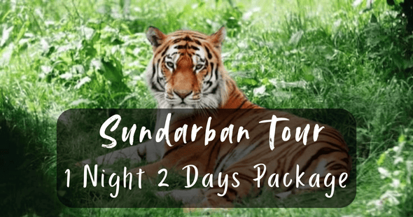 Sundarban Tour 1 Night 2 Days Package